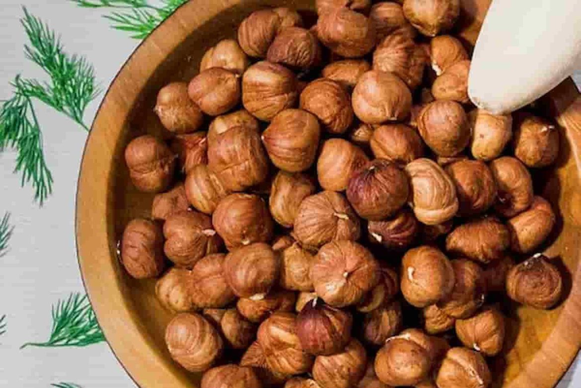 Top quality hazelnut kernels bulk price