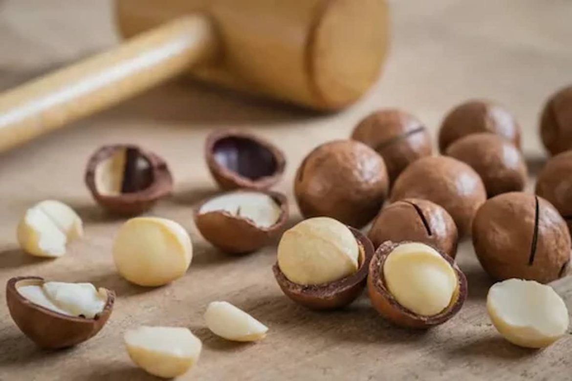 Hazelnut kernels cheap price