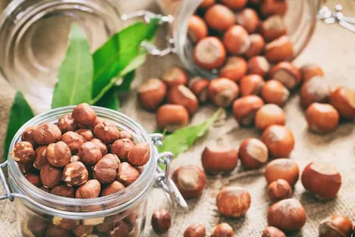 Healthy hazelnut kernels factory price