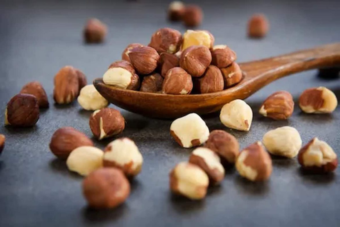 Manufacturers hazelnut kernels price